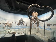 -辽宁古生物博物馆