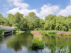 -长春市南湖公园