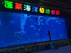 -蓬莱欧乐堡海洋极地世界