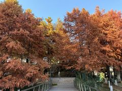 -映月湖中央公园