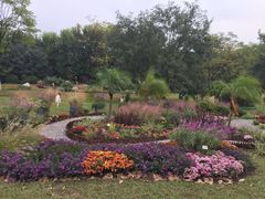 -宝鸡植物园