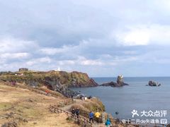 -涉地可支