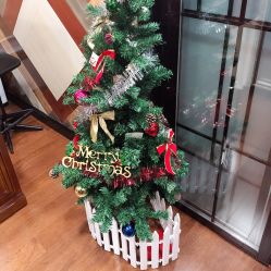 -scarlet斯卡莱美容护理机构