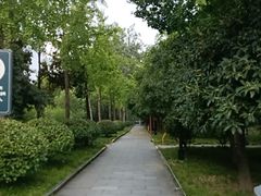 -木塔寺遗址生态公园