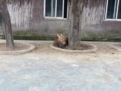 -宁波野生动物园