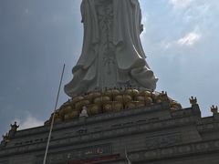 -龙泉人椰子鸡.糟粕醋.海南菜(三亚旗舰店)