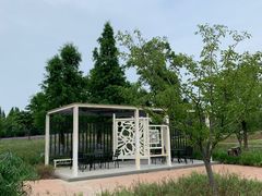 -同里国家湿地公园
