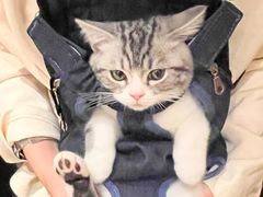 -lincat·猫舍(广州店)