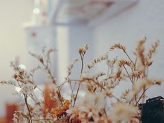-Cafe on warm(丹霞店)