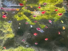 -苏州海洋馆