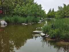 -大望京公园