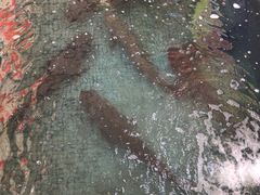-溪悦渔庄(九龙湖店)