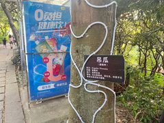 -青青世界