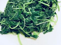 清炒米苋-圆苑(上海广场店)