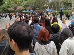 -武汉大学-樱园