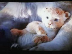 -上影国际影城(普陀绿地缤纷城店)