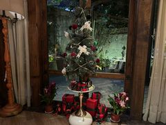 -一棵树·意大利西餐厅One Tree(新城店)