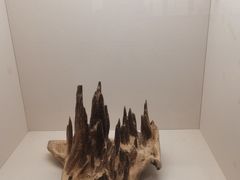 -中国沉香文化博物馆