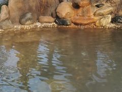 -瑞阁温泉酒店温泉中心
