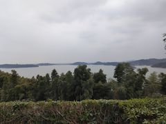 -天目湖涵田半山温泉