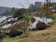 -铁山坪森林公园