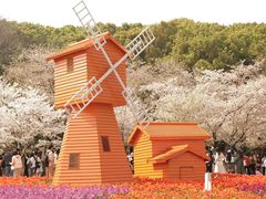 -苏州上方山国家森林公园