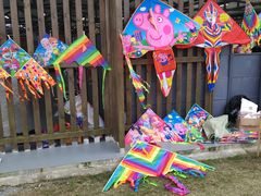 -中国天府农业博览园