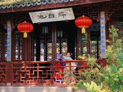 -上海醉白池公园