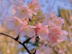 -静安雕塑公园