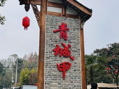 -青城甲(青城山店)