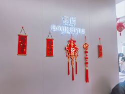 -崇尚GAVIN STYLE臻选