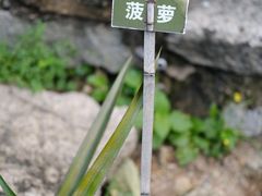 -青青世界