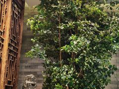 -高玛纳驴肉火烧(河间总店)