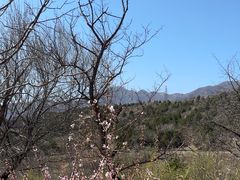 -白水寺森林公园