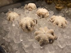 -铭聚章鱼土笋冻(松柏店)