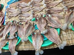 -西归浦每天偶来市场