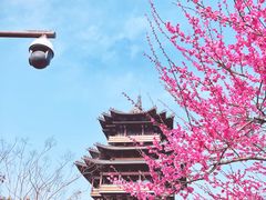 -杭州半山国家森林公园