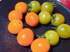 -吴越荣记苏州菜·松鼠桂鱼100%活鱼现做(月光码头店)