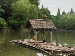 -扬州市茱萸湾风景区