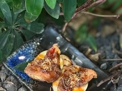 -ITARU食堂·定食料理(西丽店)