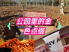 -沪上阿姨·精选茶饮(富力又一城店)