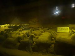-汉景帝阳陵博物院