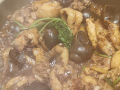 -食爺炭炉鸡煲·烧烤