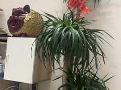 -熙耳·采耳头疗SPA养生馆