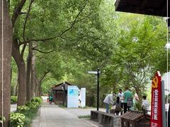 -溱湖国家湿地公园