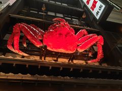 -蟹料理 北海道かに将軍(札幌本店)