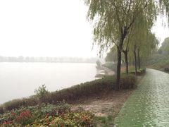 -羊山湖公园