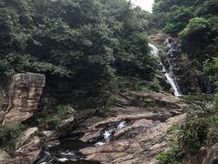 -清溪森林公园