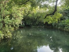 -广州兰圃