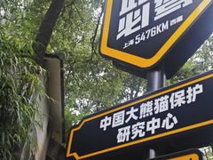 -中国大熊猫保护研究中心雅安碧峰峡基地